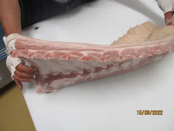 Pork Belly A/B grade mix, bone in, rind on, flank off 2